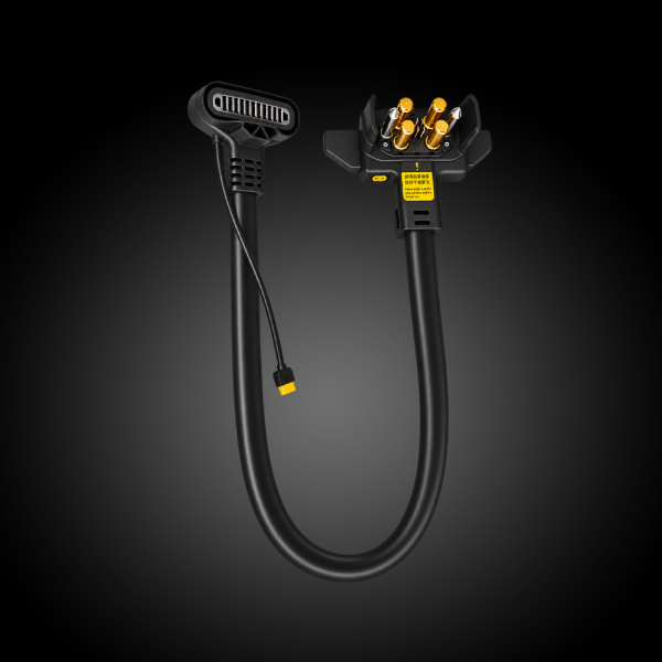 Cáp chuyển đổi DB2100