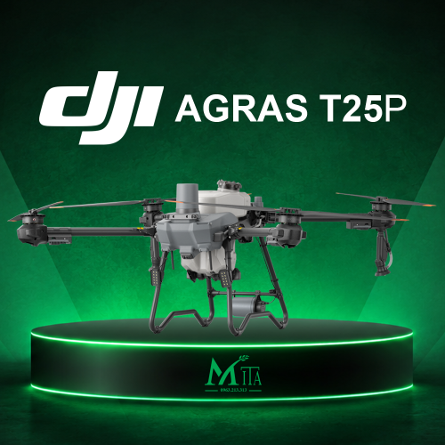 t25p