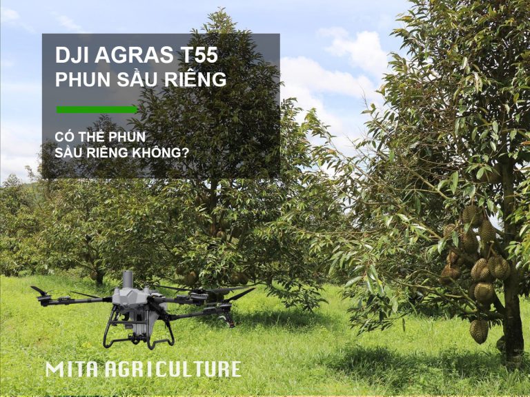 T55 phun sầu riêng