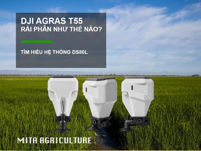 Rải phân với T55