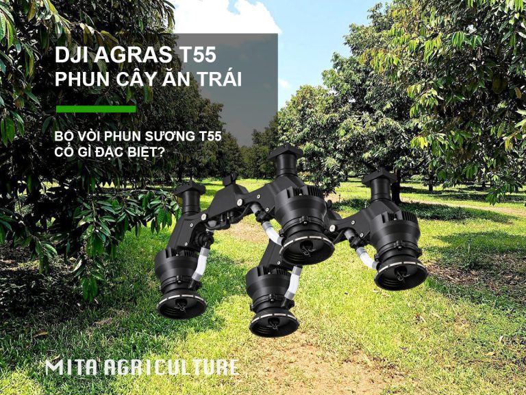 T55 phun trái cây