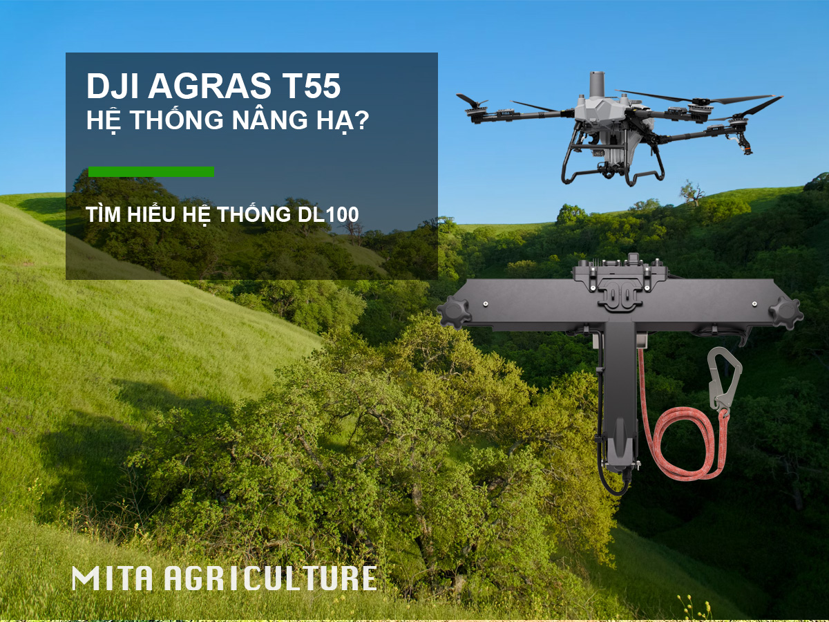 Hệ thống nâng hạ T55