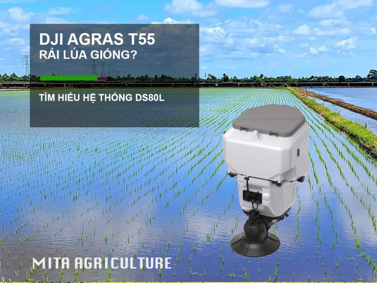 Hệ thống rải T55