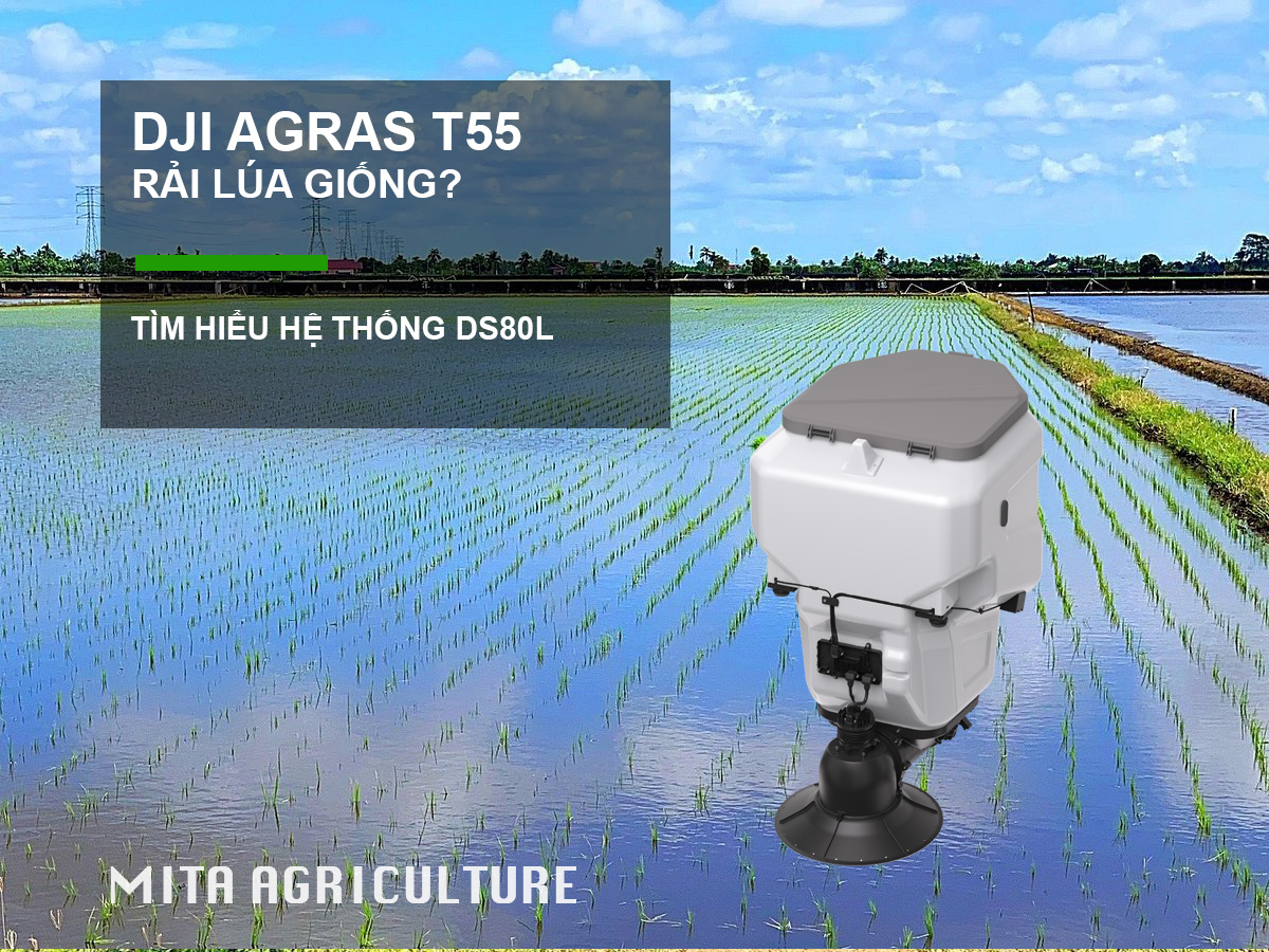 Hệ thống rải T55