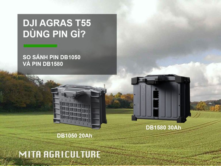 T55 dùng pin gì?