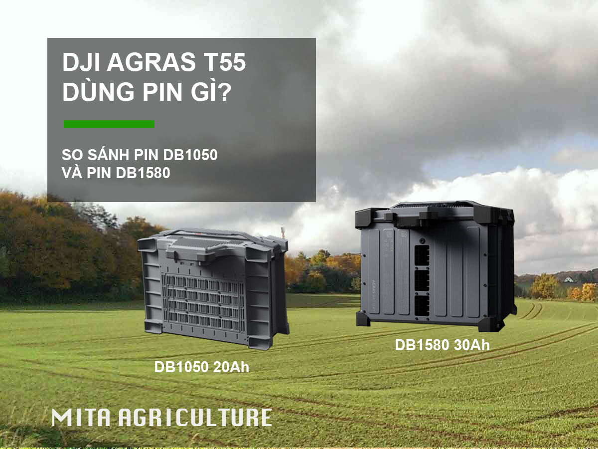 T55 dùng pin gì?