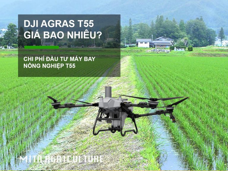 T55 giá bao nhiêu?
